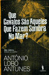 capa livro