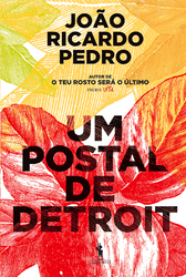 capa livro