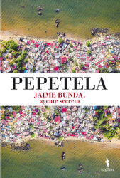 capa livro