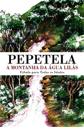 capa livro