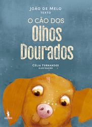 capa livro