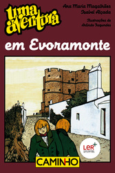 capa livro