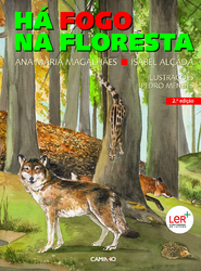 capa livro