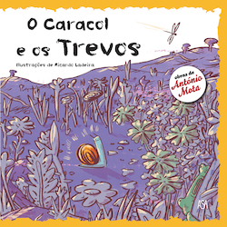 capa livro