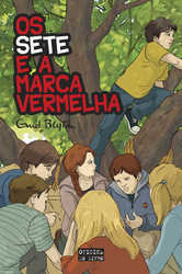 capa livro