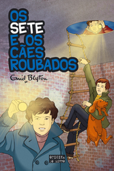 capa livro