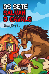 capa livro