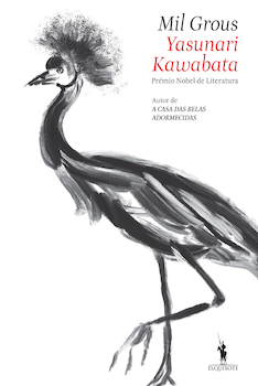 capa livro