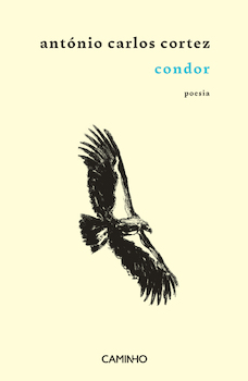 capa livro