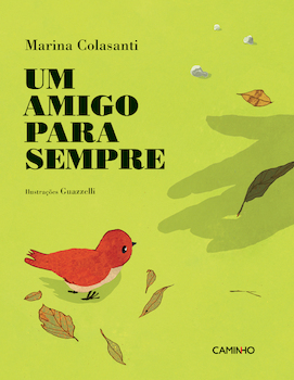 capa livro