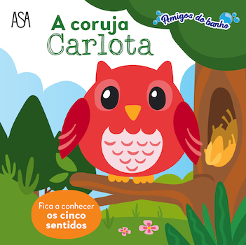 capa livro