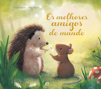 capa livro