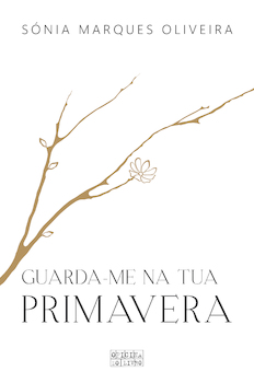 capa livro