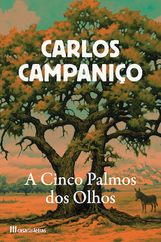 capa livro